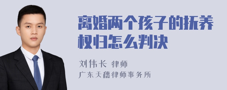 离婚两个孩子的抚养权归怎么判决