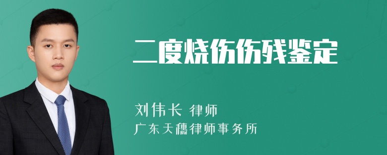 二度烧伤伤残鉴定