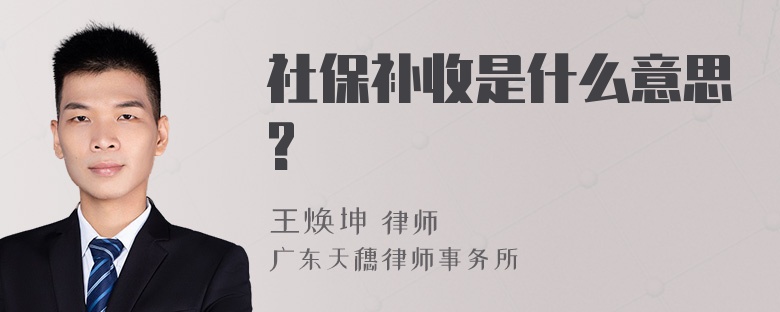 社保补收是什么意思?