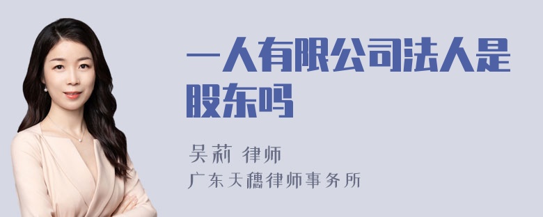 一人有限公司法人是股东吗