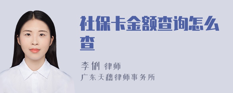 社保卡金额查询怎么查