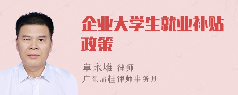 企业大学生就业补贴政策