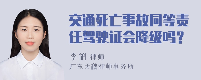 交通死亡事故同等责任驾驶证会降级吗？