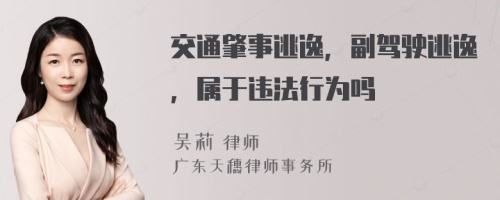 交通肇事逃逸，副驾驶逃逸，属于违法行为吗