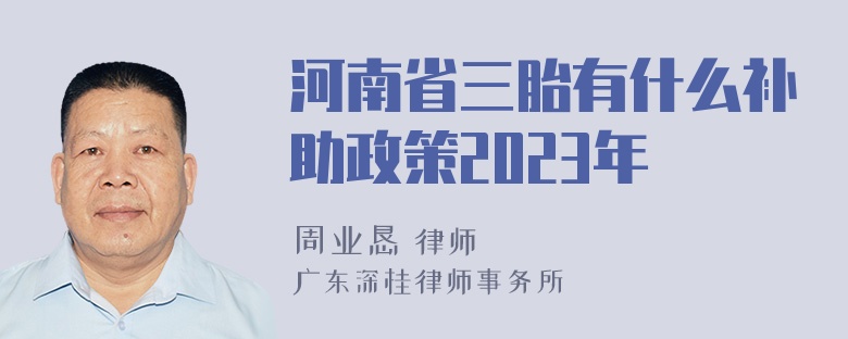 河南省三胎有什么补助政策2023年