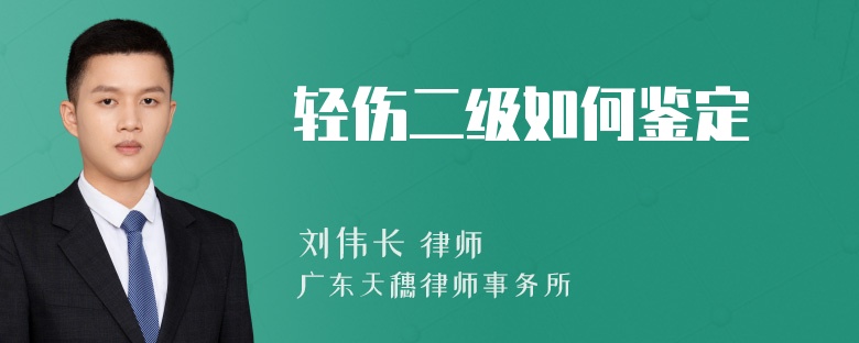 轻伤二级如何鉴定