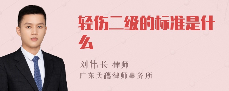 轻伤二级的标准是什么