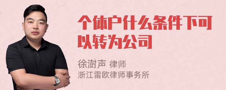 个体户什么条件下可以转为公司