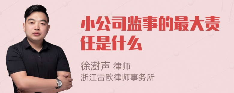 小公司监事的最大责任是什么