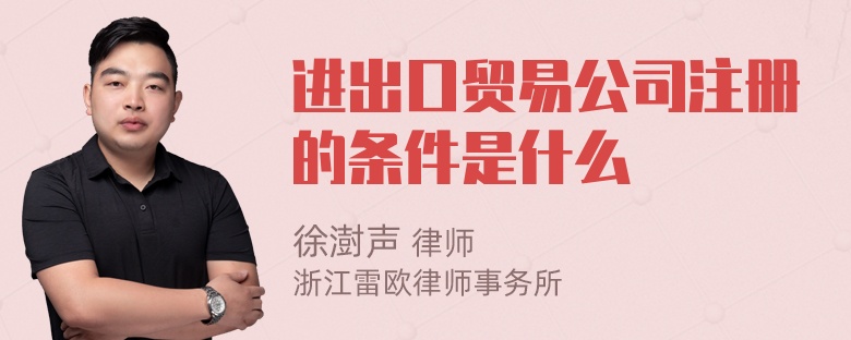 进出口贸易公司注册的条件是什么