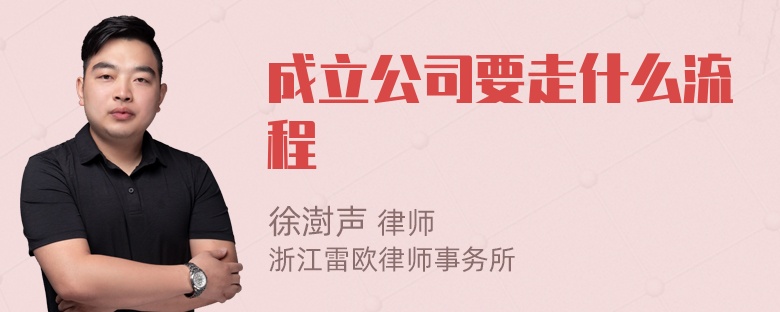 成立公司要走什么流程