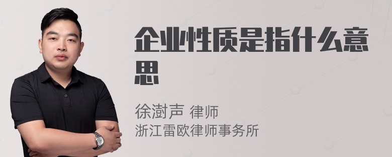 企业性质是指什么意思