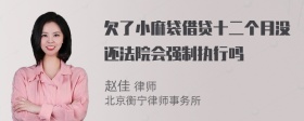 欠了小麻袋借贷十二个月没还法院会强制执行吗