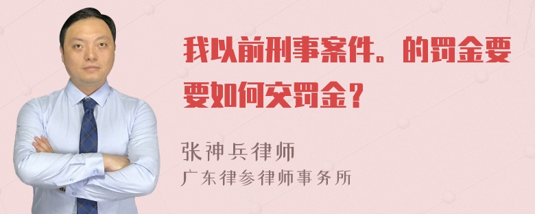 我以前刑事案件。的罚金要要如何交罚金？