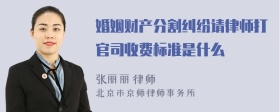 婚姻财产分割纠纷请律师打官司收费标准是什么