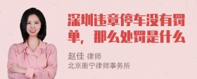 深圳违章停车没有罚单，那么处罚是什么