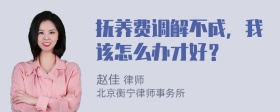 抚养费调解不成，我该怎么办才好？