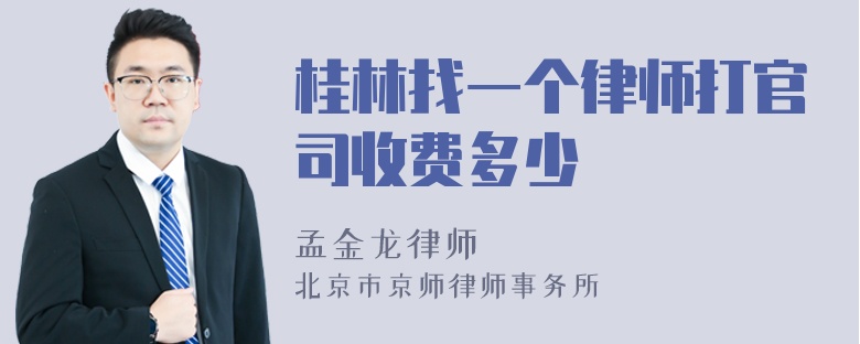 桂林找一个律师打官司收费多少