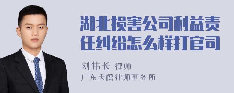 湖北损害公司利益责任纠纷怎么样打官司