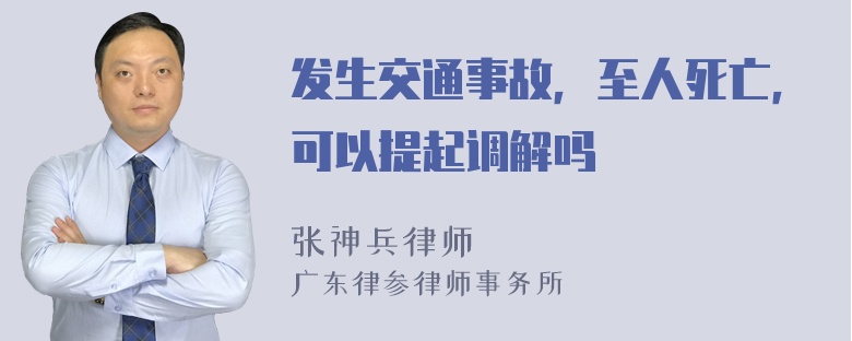 发生交通事故，至人死亡，可以提起调解吗