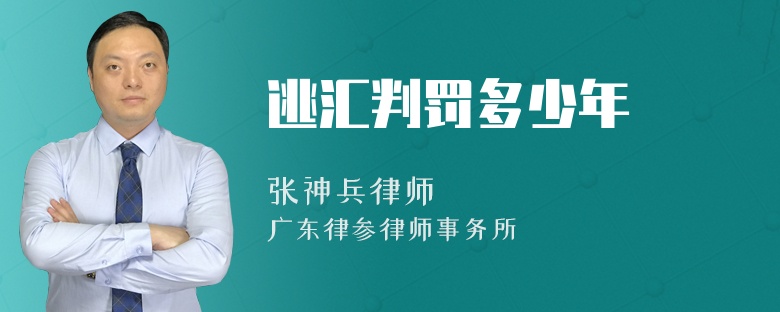 逃汇判罚多少年