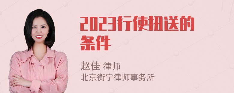 2023行使扭送的条件