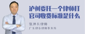 泸州委托一个律师打官司收费标准是什么