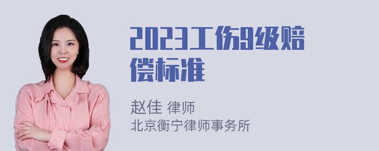 2023工伤9级赔偿标准