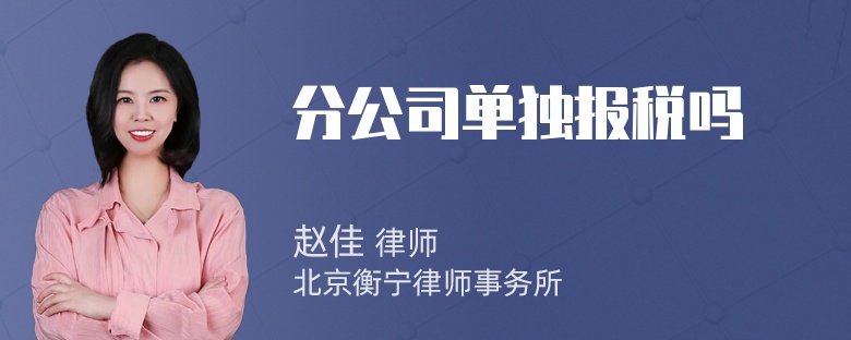 分公司单独报税吗