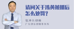 请问关于涉黄被抓后怎么处罚？