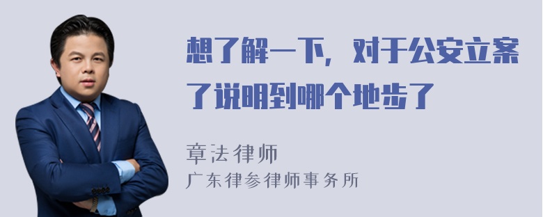 想了解一下，对于公安立案了说明到哪个地步了