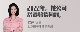 2022年，被公司辞退赔偿问题，