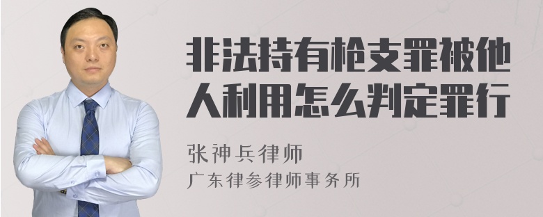 非法持有枪支罪被他人利用怎么判定罪行