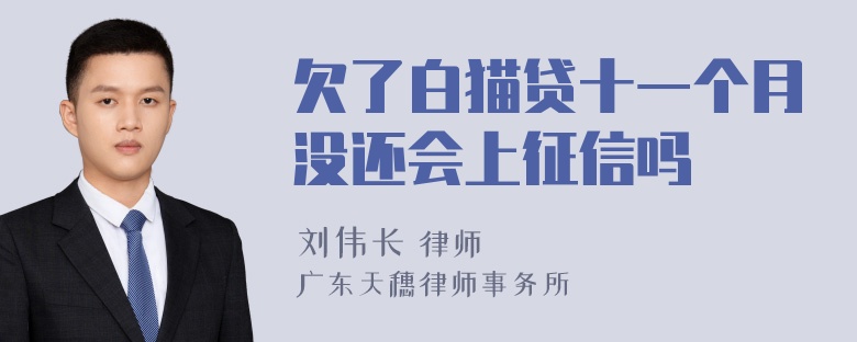 欠了白猫贷十一个月没还会上征信吗