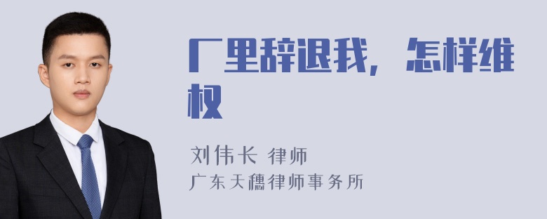 厂里辞退我，怎样维权