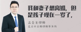 我和妻子想离婚，但是孩子现在一岁了，