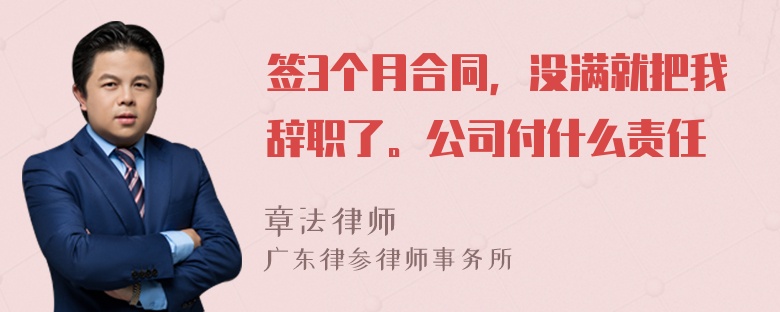 签3个月合同，没满就把我辞职了。公司付什么责任