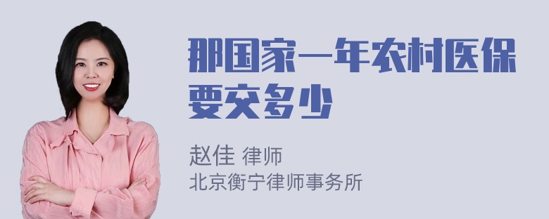 那国家一年农村医保要交多少