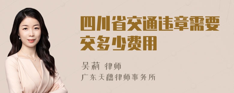 四川省交通违章需要交多少费用