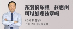 东莞的车牌，在惠州可以处理违章吗