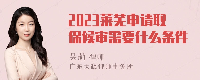 2023莱芜申请取保候审需要什么条件