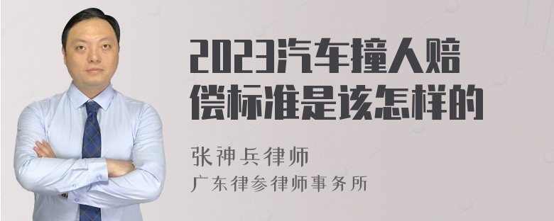 2023汽车撞人赔偿标准是该怎样的