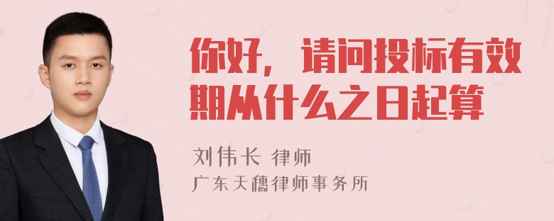 你好，请问投标有效期从什么之日起算