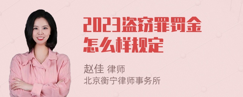 2023盗窃罪罚金怎么样规定