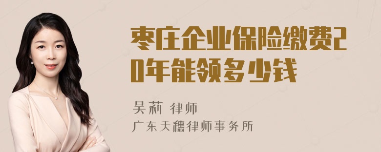 枣庄企业保险缴费20年能领多少钱