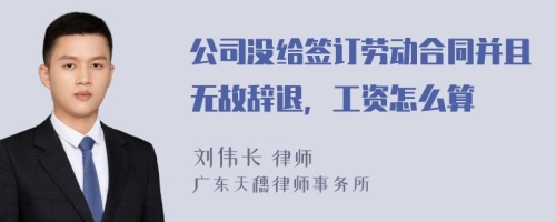 公司没给签订劳动合同并且无故辞退，工资怎么算