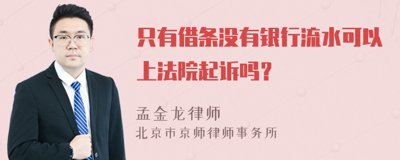 只有借条没有银行流水可以上法院起诉吗？