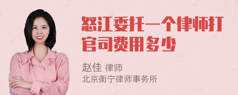 怒江委托一个律师打官司费用多少