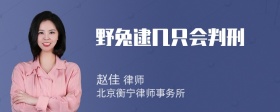 野兔逮几只会判刑