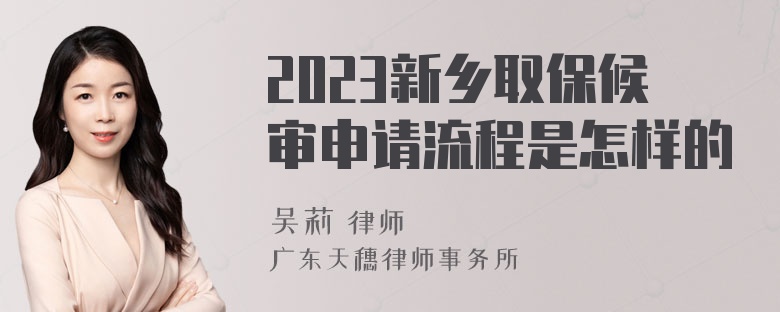 2023新乡取保候审申请流程是怎样的